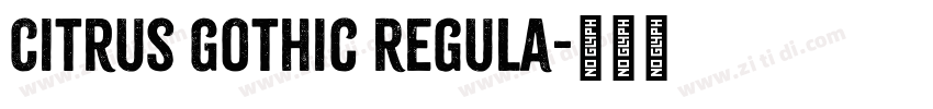 Citrus Gothic Regula字体转换 Citrus Gothic Regula字体转换